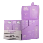 Blueberry Mint FLUM Pebble