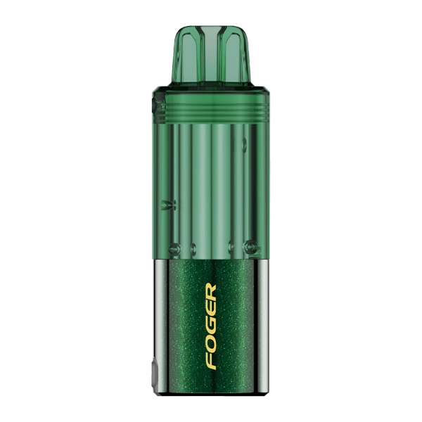 geekbar flacors Icy Mint FOGER Switch Pro Disposable