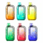 [5-Pack]Foger BIT (20 flavors)