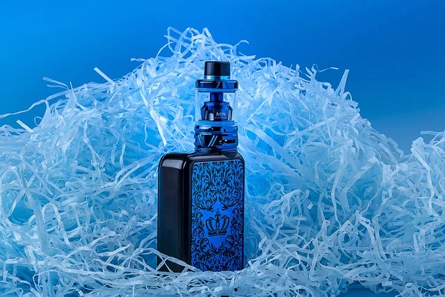 disposable vape boxes - Close-up of dual mesh coil inside a premium disposable vape box showing the heating element design